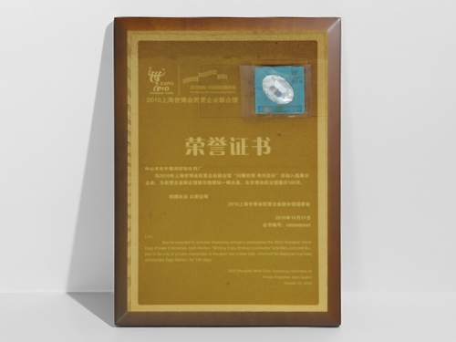 2010上海世博会民营企业荣誉证书